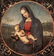 RAFFAELLO Sanzio Madonna with the Book (Connestabile Madonna)  dy oil on canvas